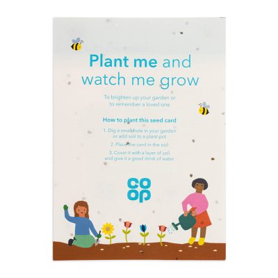 A5 Seed Paper
