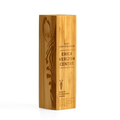 BAMBOO COLUMN AWARDS E144104 - Image 3