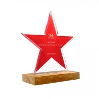 Bespoke Freestanding Acrylic Star Awards