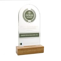 Standard Shaped Acrylic Awards 125mm X 225mm With 28mm Base