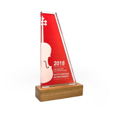Standard Shaped Acrylic Awards 125mm X 225mm With 28mm Base - Image 3
