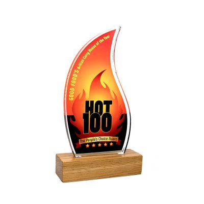 Standard Shaped Acrylic Awards 125mm X 225mm With 28mm Base - Image 4