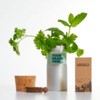 Desktop Garden Bee Mix