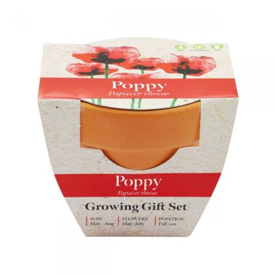 Green & Good Tiny Terracotta Pot 2 - Image 2