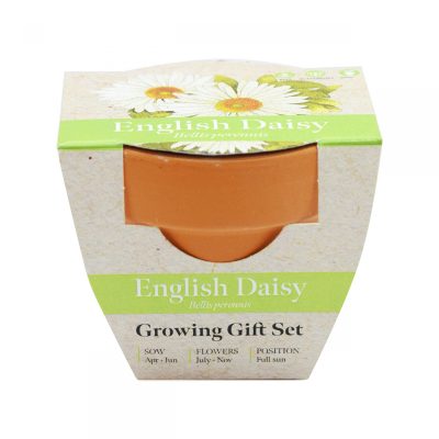 Green & Good Tiny Terracotta Pot 2 - Image 4