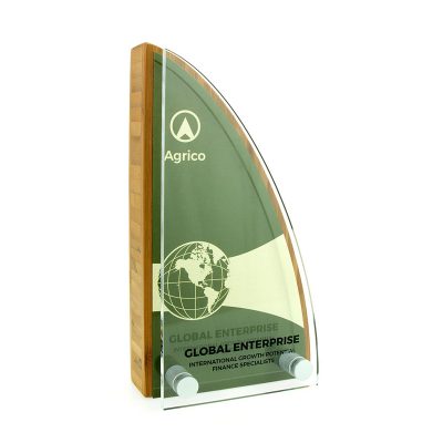 Bamboo Award With Metal Plate And Acrylic Front - Image 5
