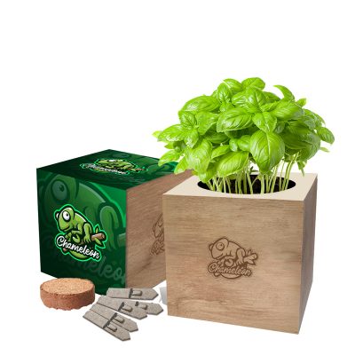 DESKTOP CUBE GARDEN E1413101