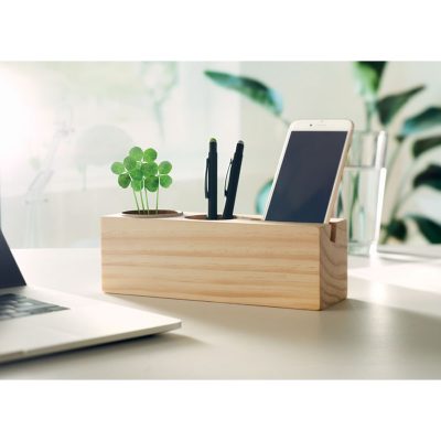 Thila Desk Garden - Image 5