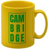 Cambridge Mug E153701