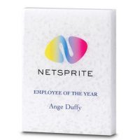 15cm X 12.5cm X 2.5cm 100% Recycled Acrylic Rectangle Award E153203