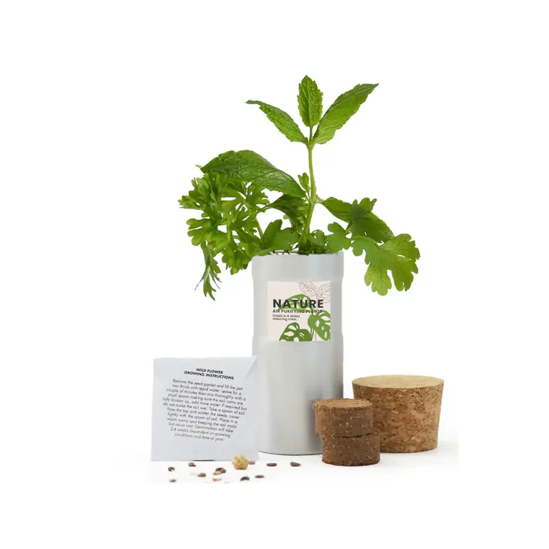 Desktop Garden Bee Mix - Image 5