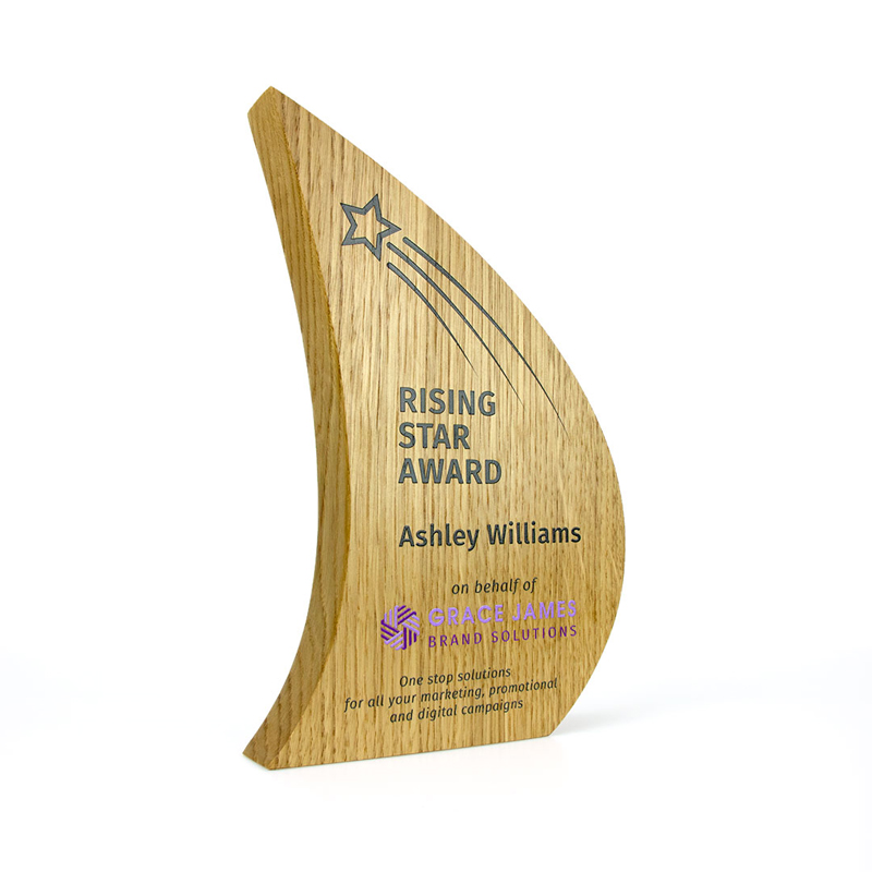 Real Wood Block Awards - Image 3