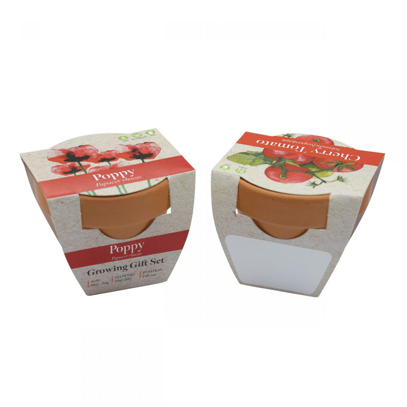 Green & Good Tiny Terracotta Pot 2 - Image 3