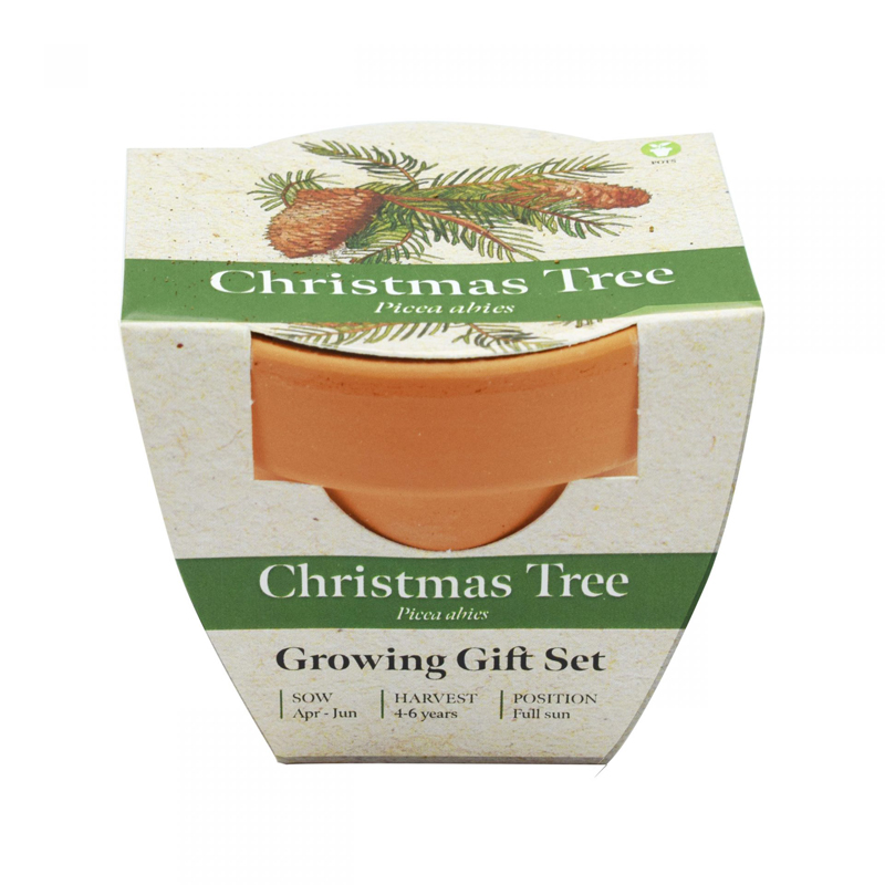 Green & Good Tiny Terracotta Pot 2 - Image 5