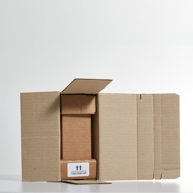 Small Concrete Planted Pot - Random Cactus - Image 3