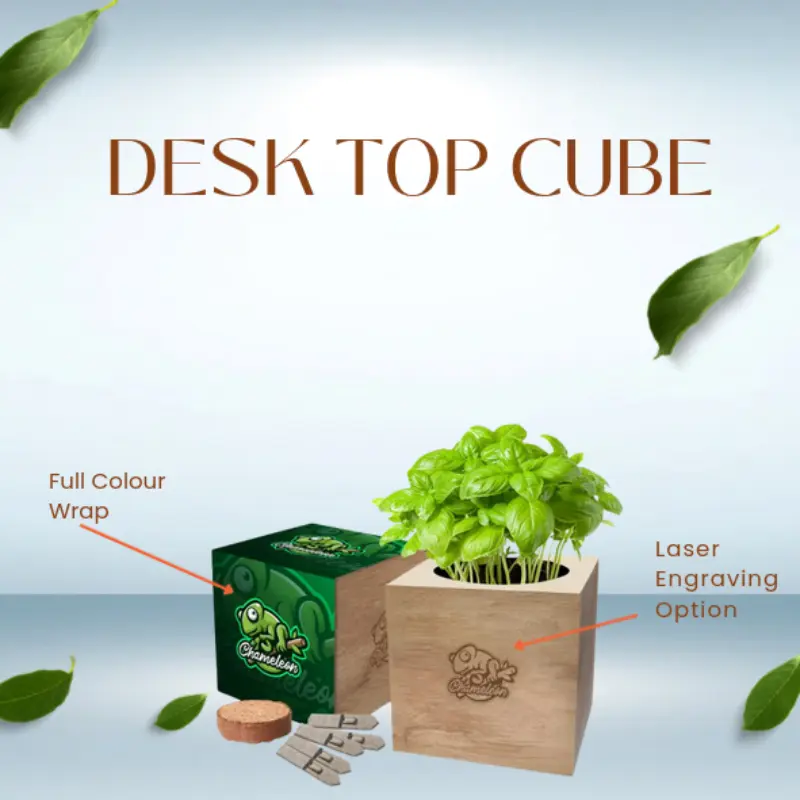 Desk top cube garden showing cube with laser engraving and growing plant